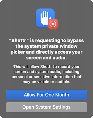 requesting to bypass the system private window picker and directly access your screen and audio